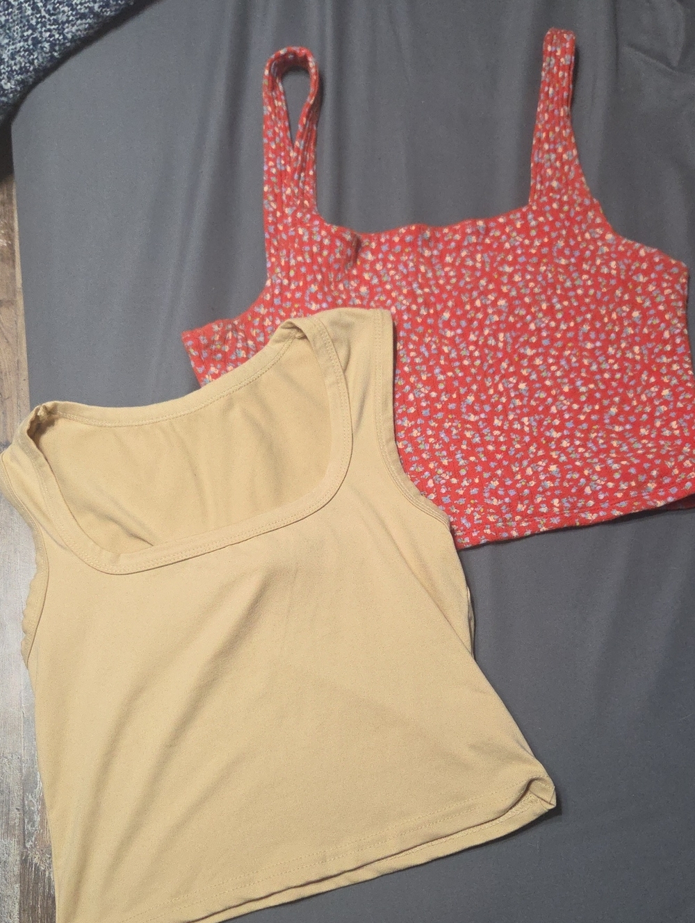 American Eagle Outfitters Red Floral Cropped Top & Soft Beige Crop Tank Top